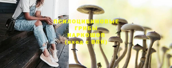 марки lsd Белокуриха