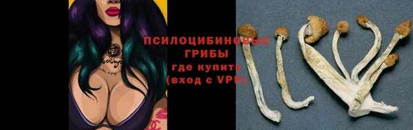 ГАЛЛЮЦИНОГЕННЫЕ ГРИБЫ Беломорск