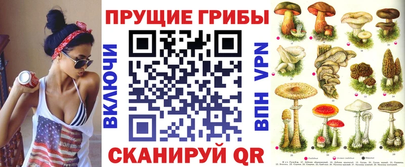 купить   Вятские Поляны  Галлюциногенные грибы Cubensis 